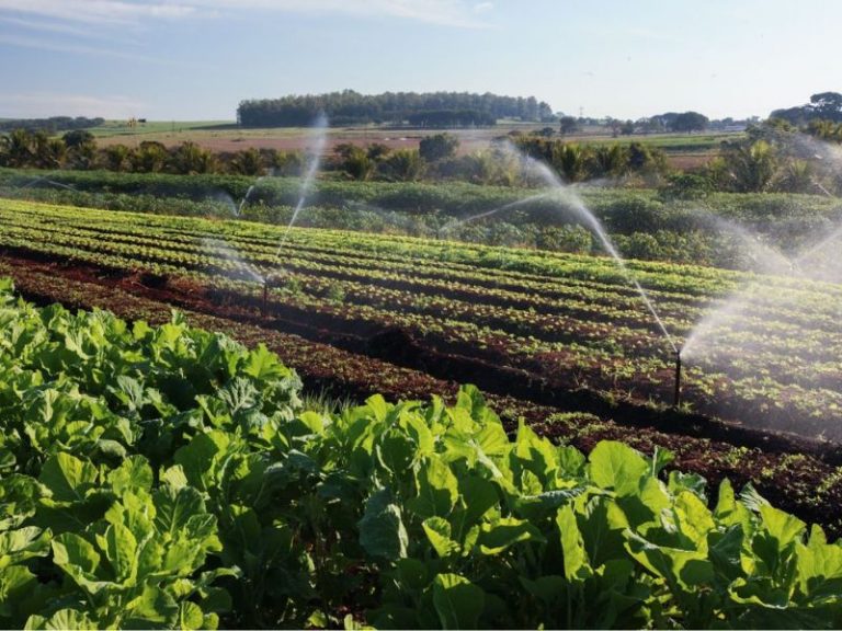 A importância do poço artesiano para o produtor rural