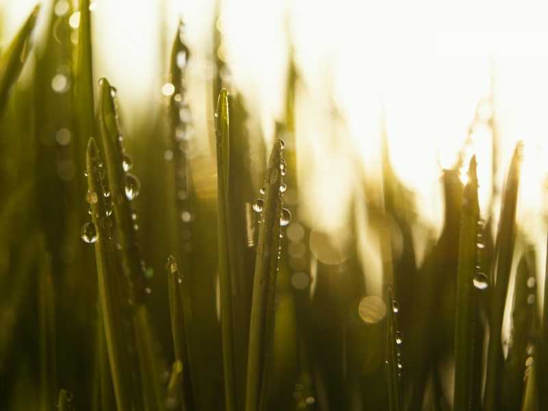 Perfuração de poço artesiano: o segredo para garantir água na sua lavoura durante o verão